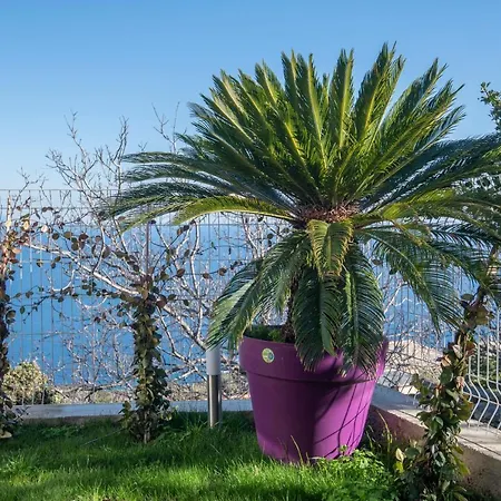 Casa Dei Zitelli De Charme Avec Jardin Et Terrasse בית נופש