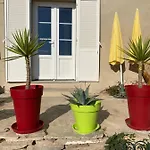 Casa Dei Zitelli De Charme Avec Jardin Et Terrasse *