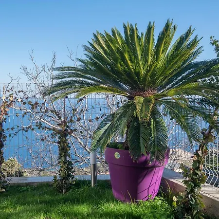 Casa Dei Zitelli De Charme Avec Jardin Et Terrasse Holiday home