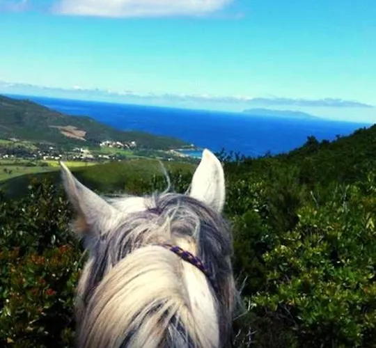 Casa Dei Zitelli De Charme Avec Jardin Et Terrasse Brando