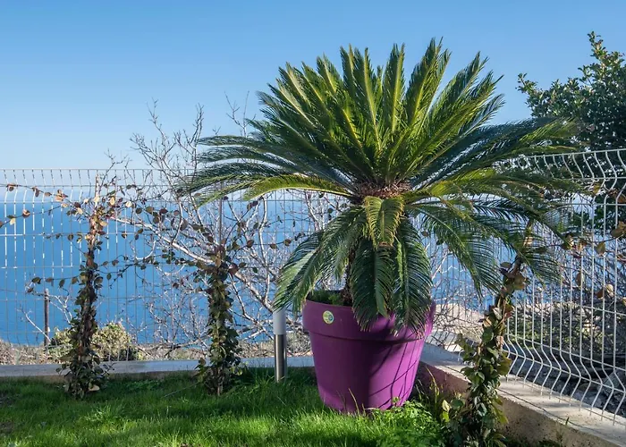 Casa Dei Zitelli De Charme Avec Jardin Et Terrasse Feriehus
